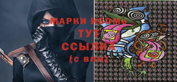 сатива Гусь-Хрустальный