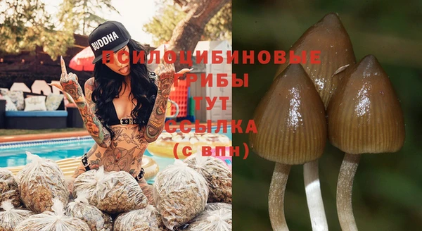 гашишное масло Гусев