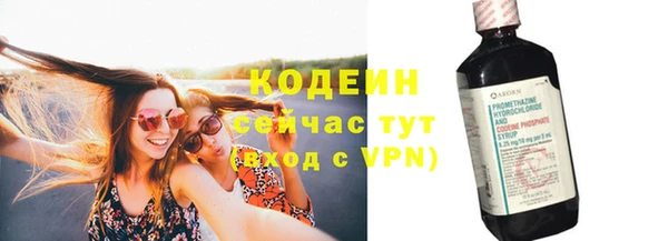 сатива Гусь-Хрустальный